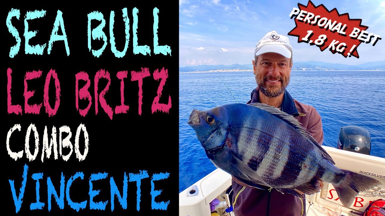 SEA BULL E LEO BRITZ 🎣 IL COMBO VINCENTE PER IL BOLENTINO ALLE GROSSE TANUTE 🟣