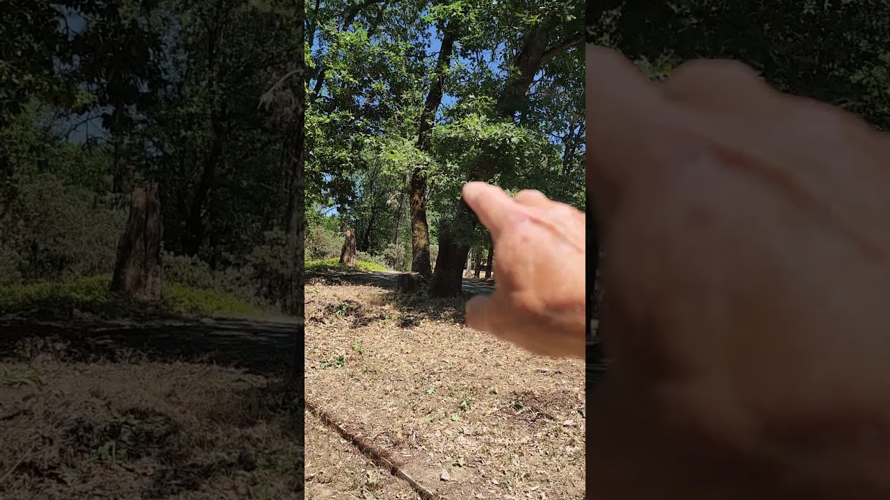 Last RV property update for the day