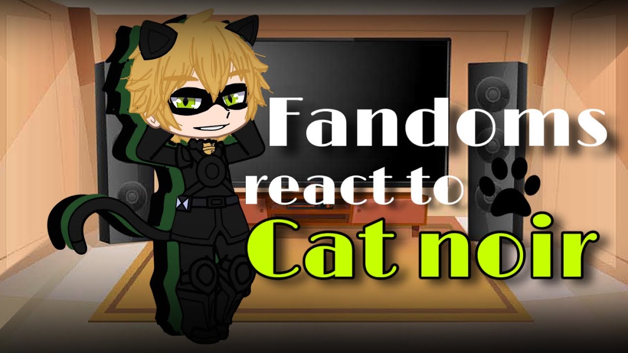 Fandoms react to eachother | Cat Noir | (3/4) | read description first | ɢɪɢɪ ☆ |