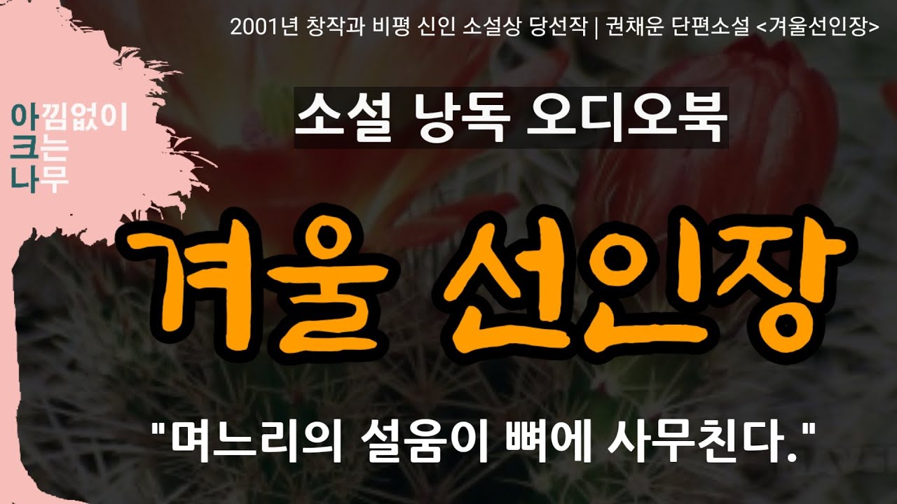 겨울선인장 | 며느리만큼은 팔자 고쳐 잘 살기를 바라는 노파의 마음 | 단편소설 낭독 |권채운 지음 | 무료 오디오북 | 잠들기  책 한 권