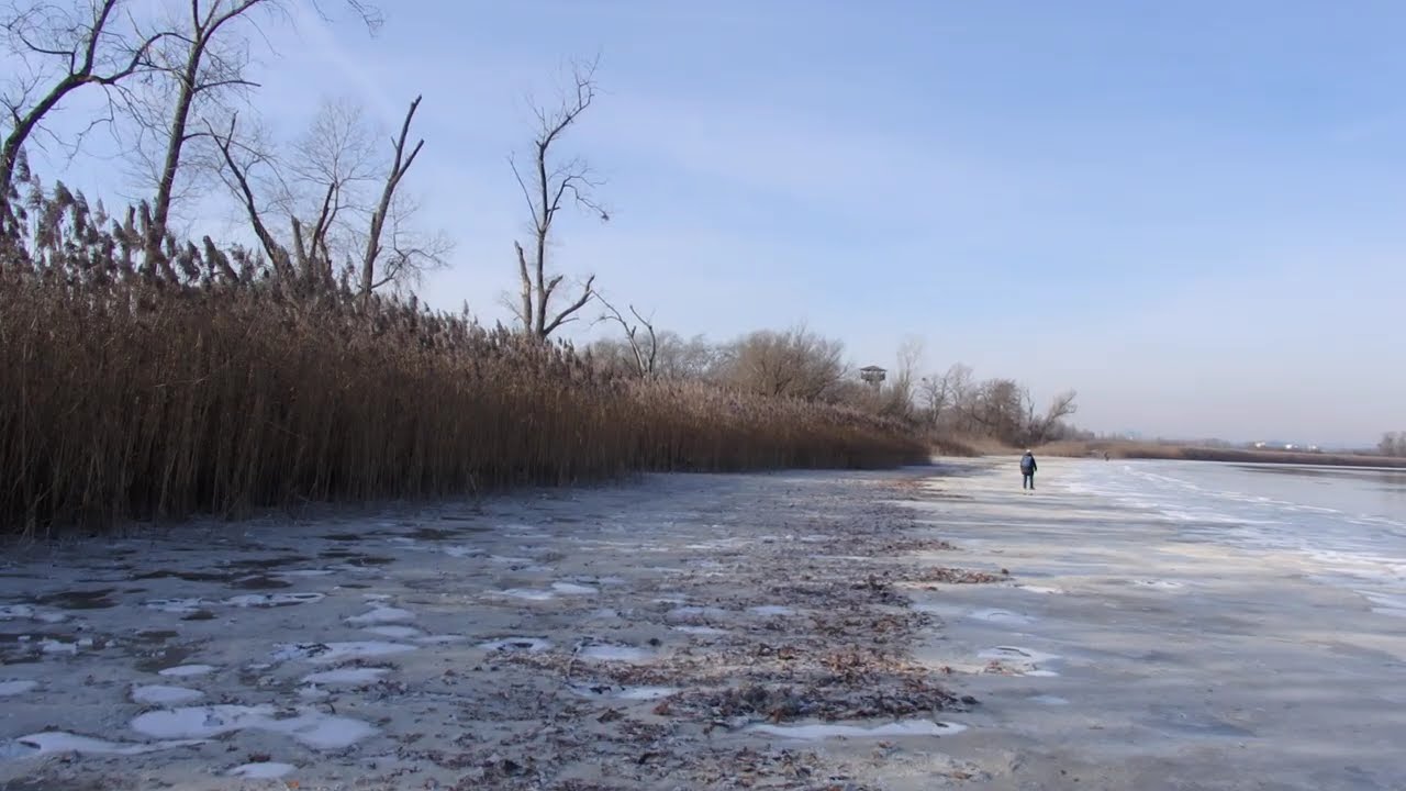 Entlang des vereisten Strands auf der Mettnau - Icy Beach
