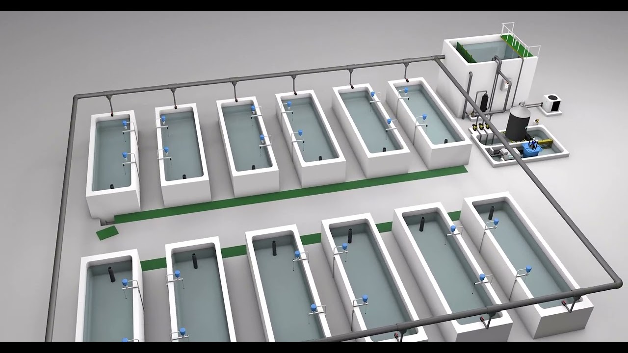 [Aquaculture] - Ras System