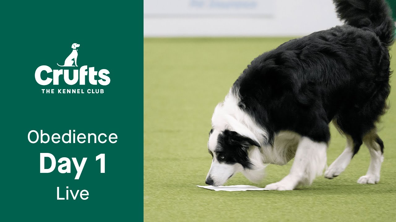 Obedience Day 1 LIVE | Inter-Regional Rally Competition | Crufts 2023