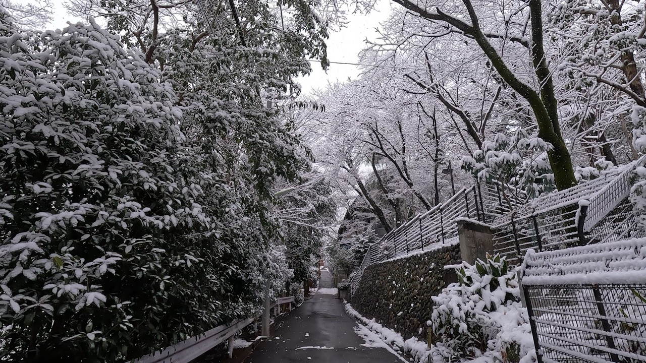 国分寺崖線の雪景色