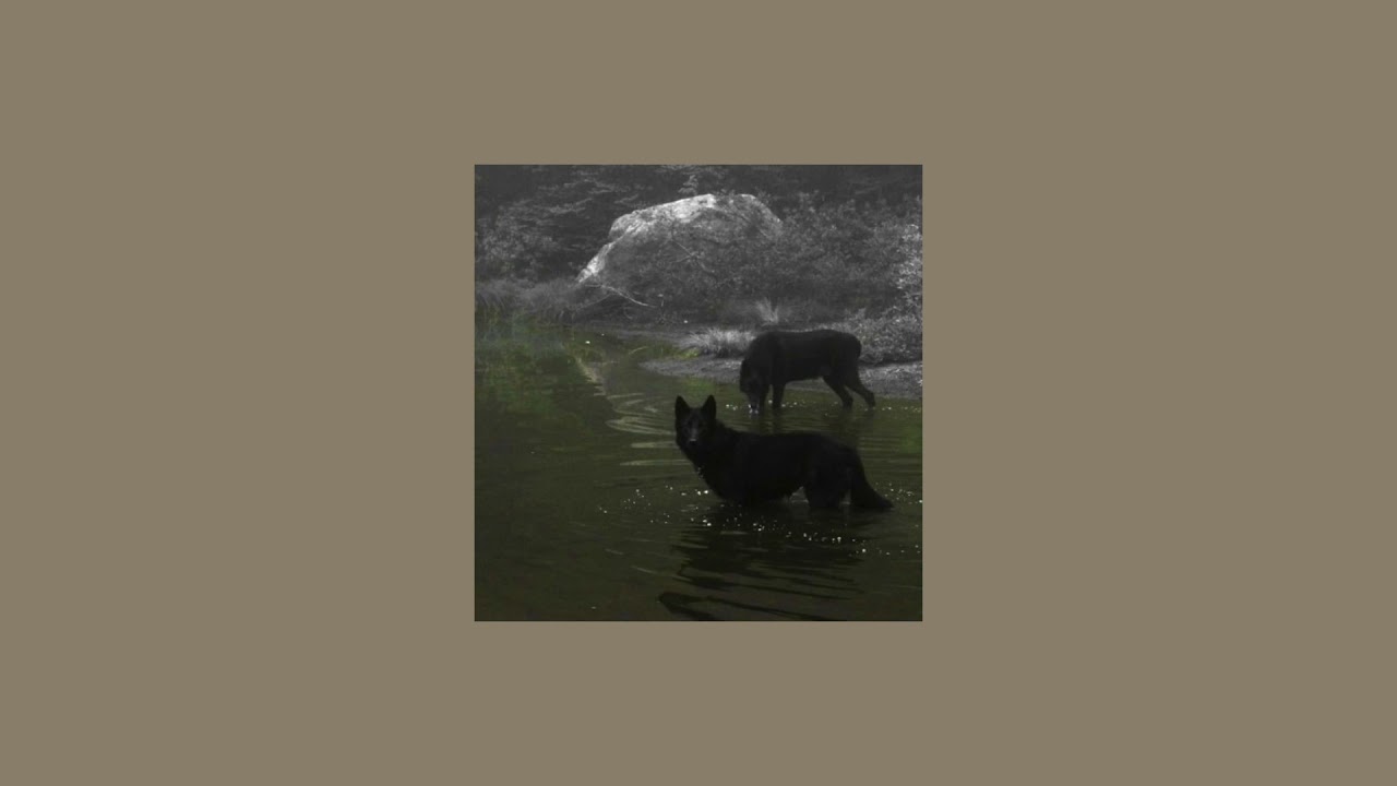 new moon angst playlist ☾*✲⋆ || jacob black inspired