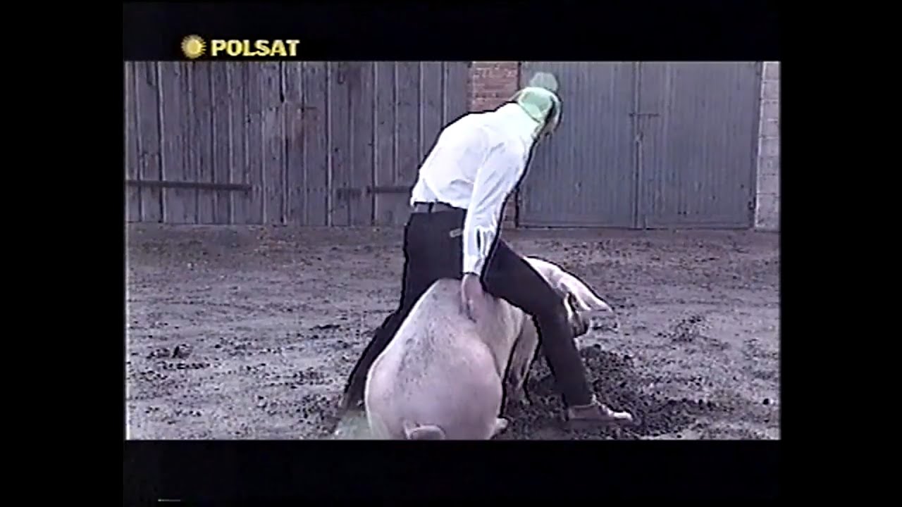 Disco relax disco polo live 1997