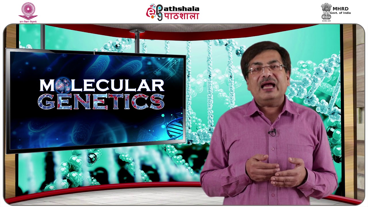 Transgenic Animals: Applications