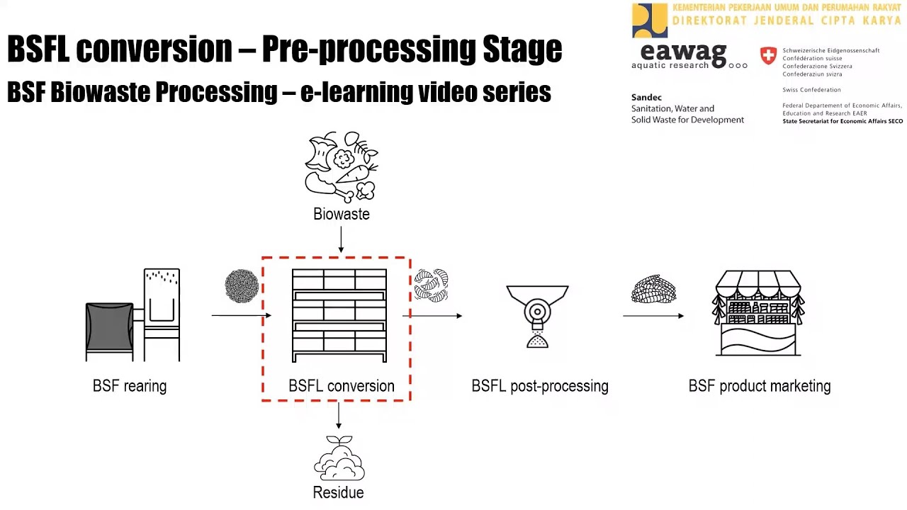 BSFL Conversion - Pre-processing - BSF Biowaste Processing e-learning video series