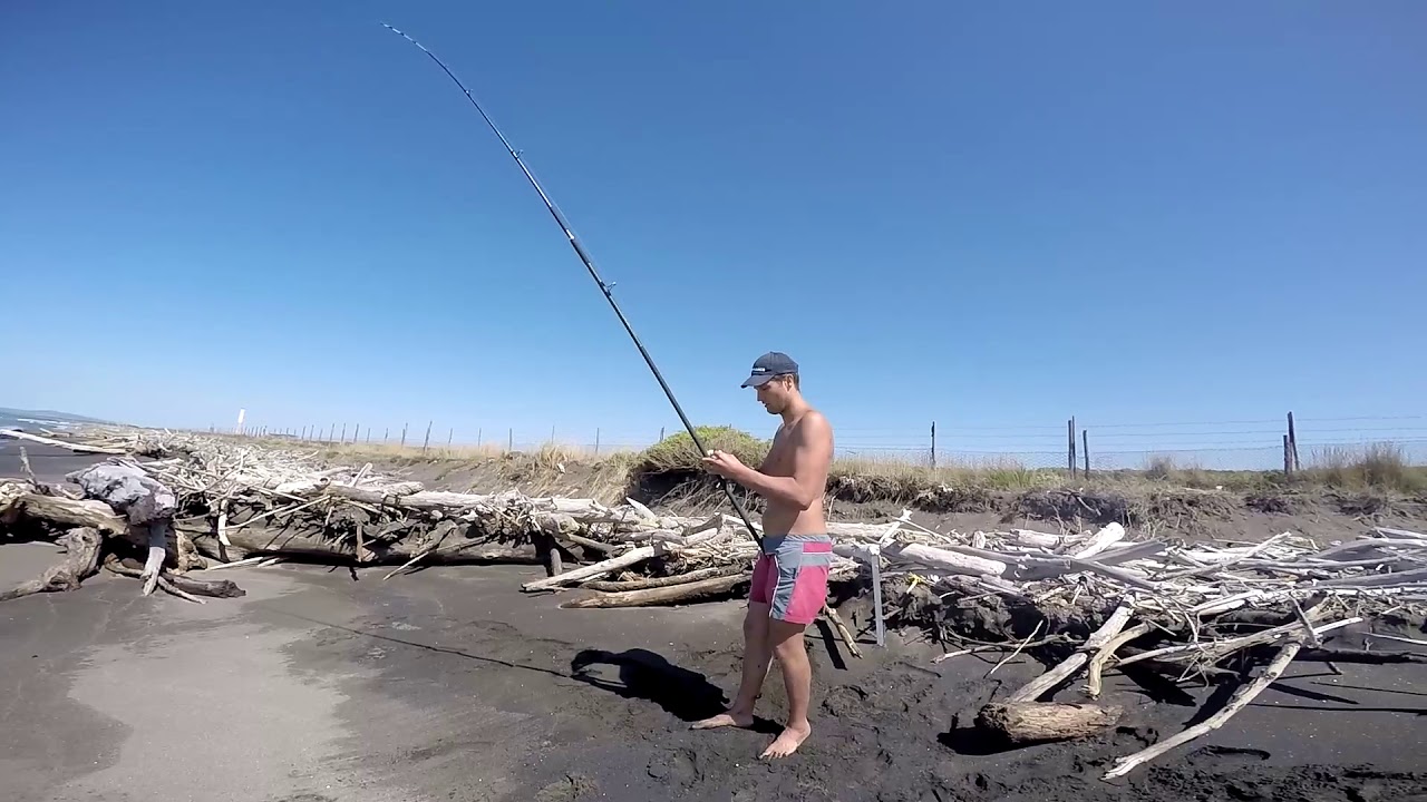Pesca da riva - Serra e orate