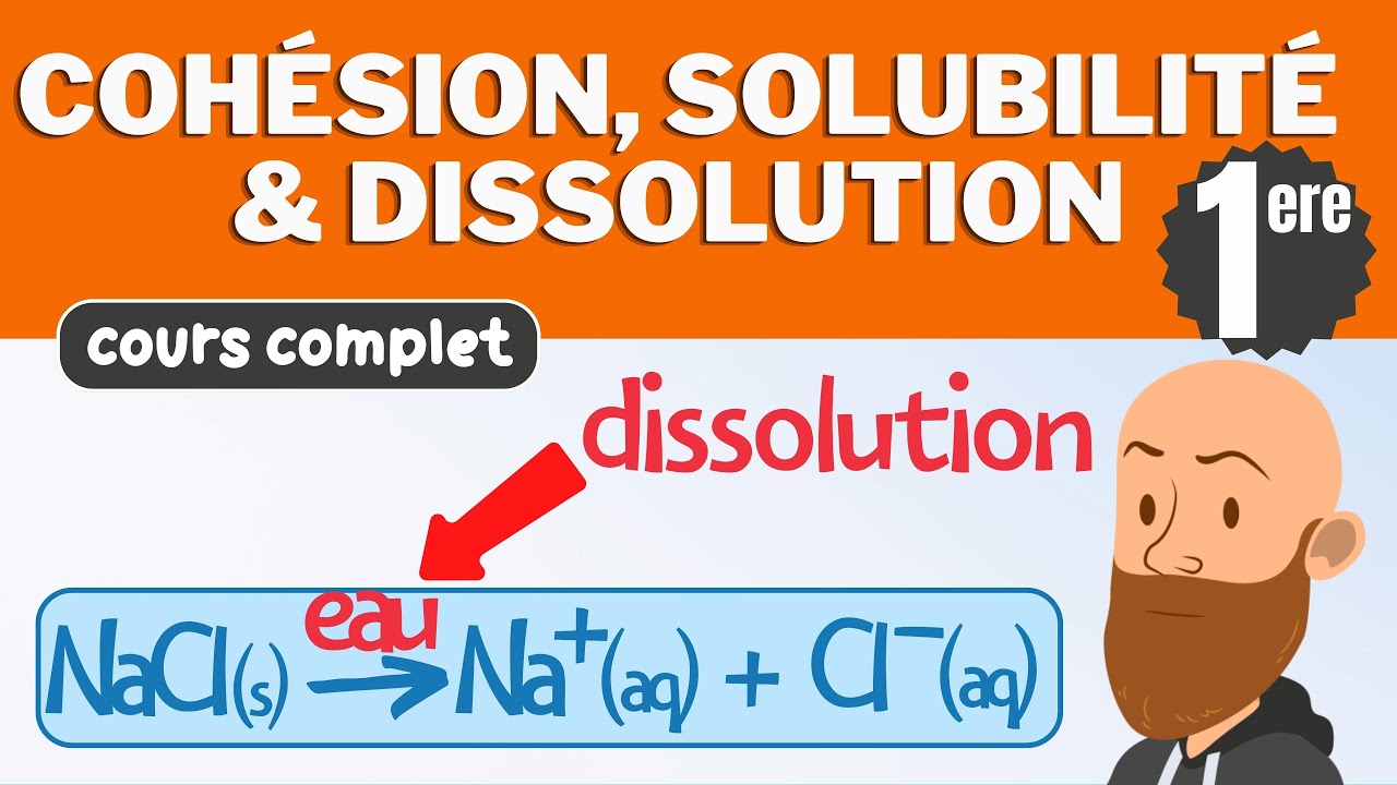 Cohésion, solubilité et miscibilité d'une espèce chimique - cours de première spé de physique chimie