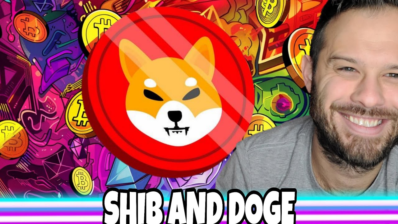 Монета сиба-ину | SHIB и Doge возвращаются! Возвращаются ли мемы-монеты?