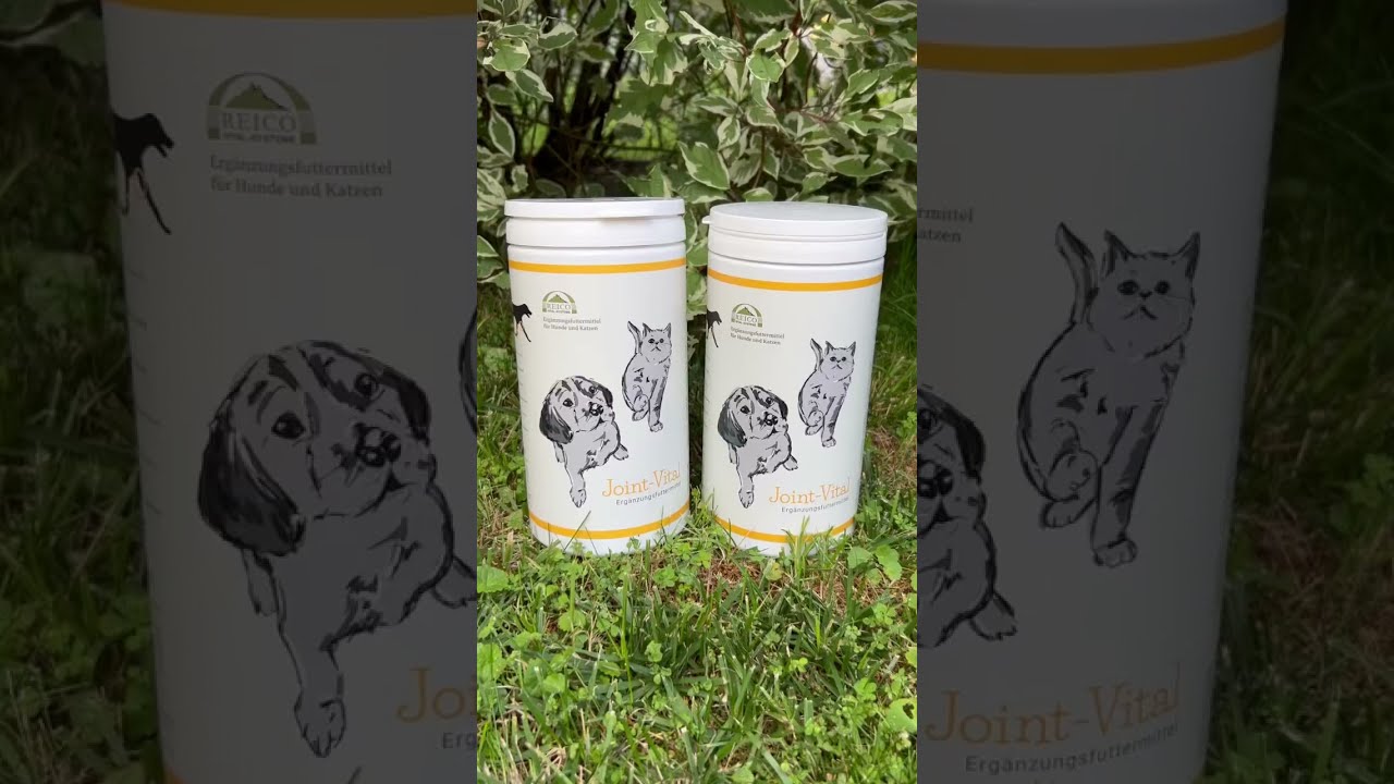 🦮Joint Vital kolagen dla ps&oacute;w i kot&oacute;w od Reico Vital