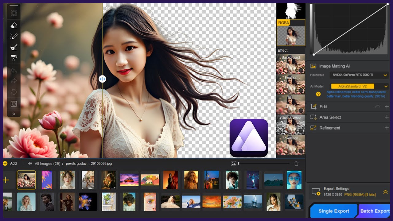 Aiarty Image Matting - Best AI Background Remover 2025 (Remove Complex Backgrounds in 1 Click)