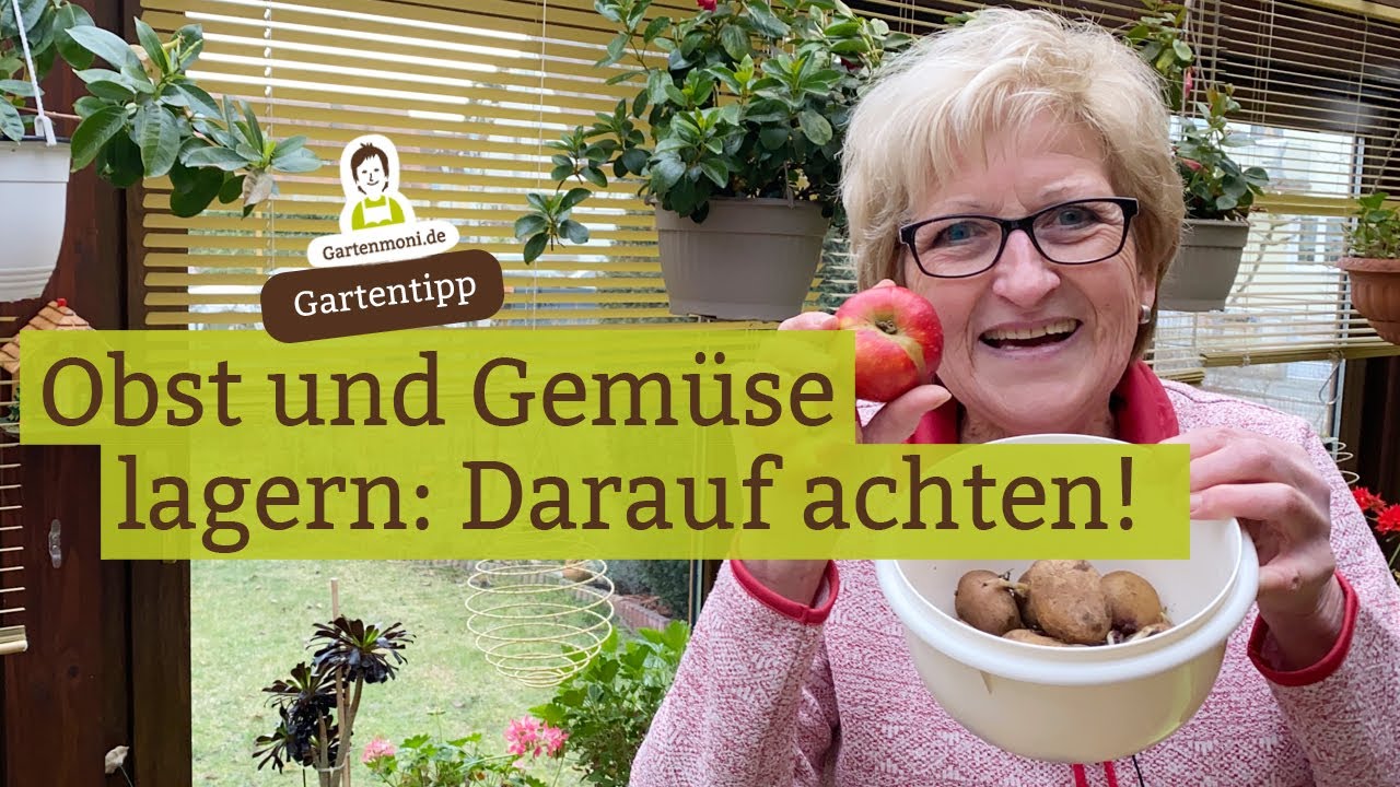 Obst und Gem&uuml;se lagern: Darauf unbedingt achten, damit es m&ouml;glichst lange h&auml;lt!