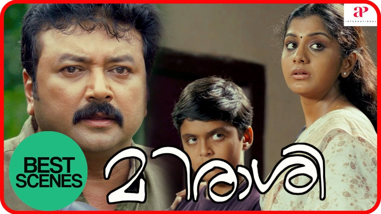Madirasi Movie Scenes | Best Scenes Part 3 | Jayaram | Meera Nandhan | Kalabhavan Mani | Santhosh