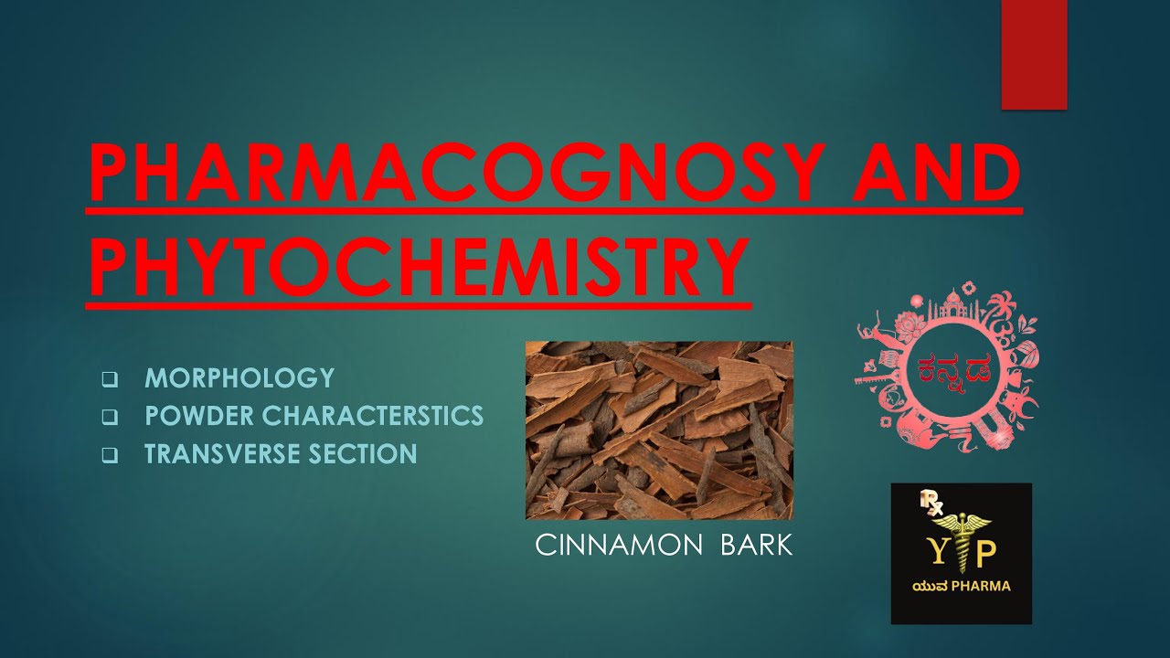 MORPHOLOGY ll POWDER MICROSCOPY ll TRANSVERSE SECTION OF CINNAMON