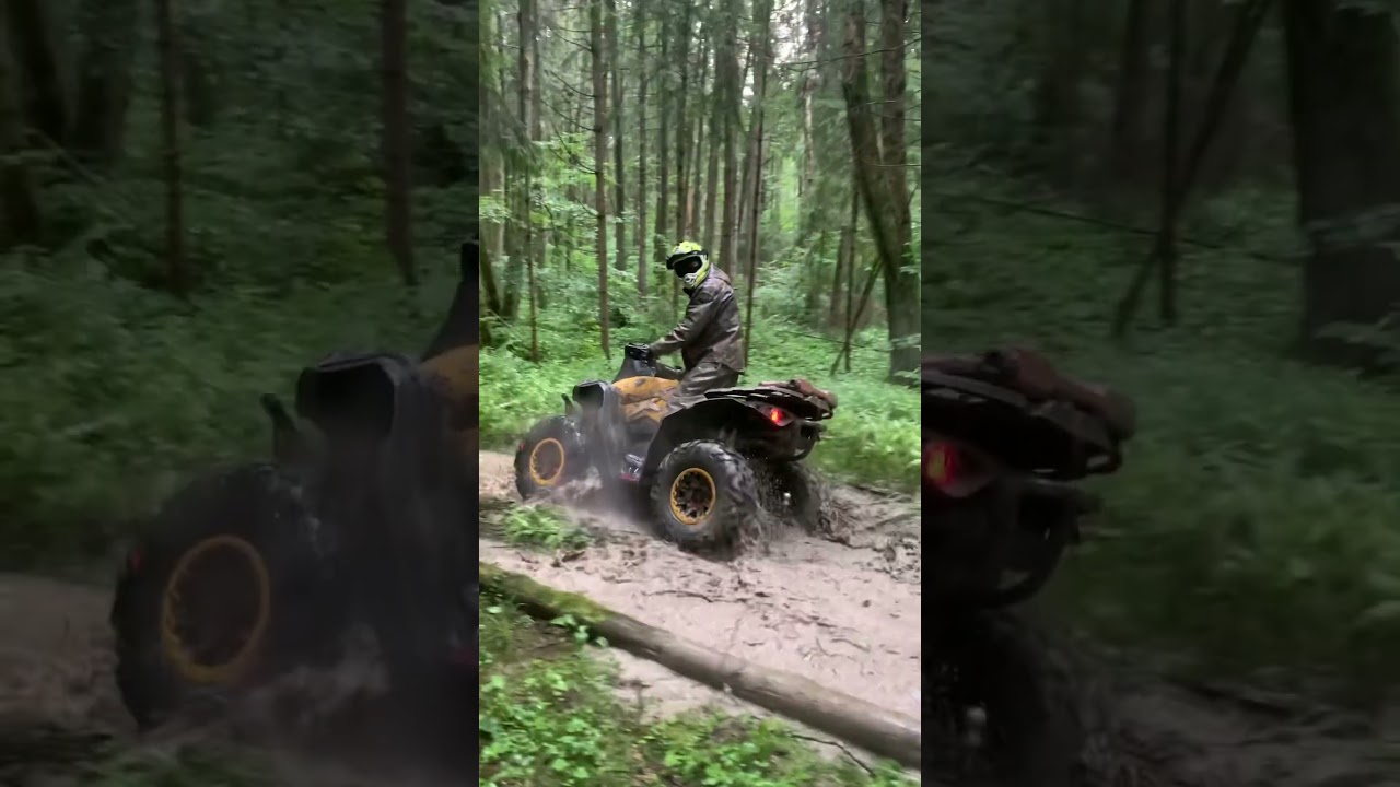 #brp #canam #aodes #видео #offroad #прогулка #mud #квадроцикл #atv #лес #лето #покатушки