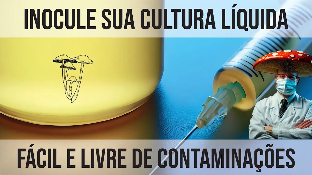 Como INOCULAR CULTURAS L&Iacute;QUIDAS Sem Contaminar - Cultivo de Cogumelos Em Casa