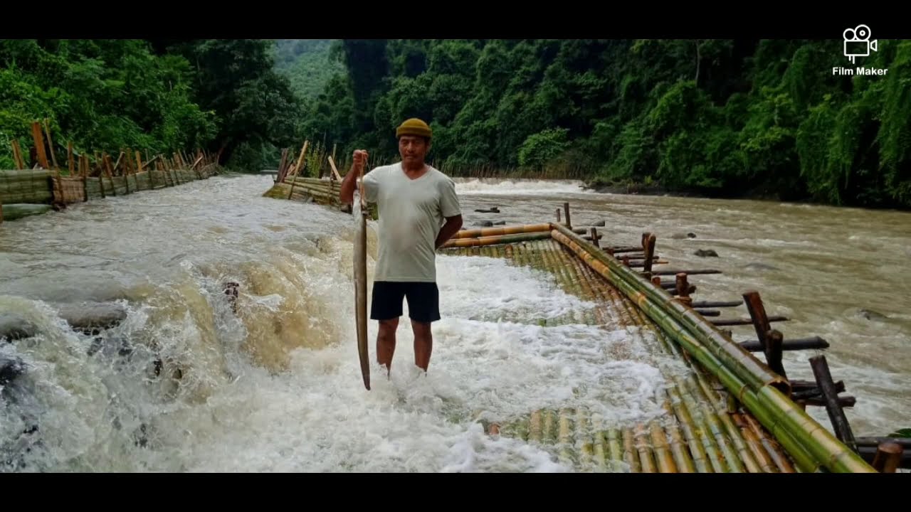 Naga traditional  fishing technique / Khuzami village community fishing @Tizu river, dist phek.