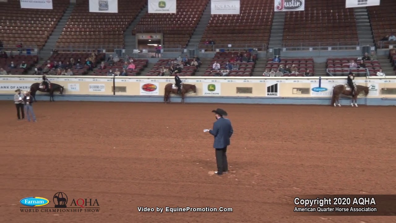 2020 AQHA 2-Year-Old Western Pleasure