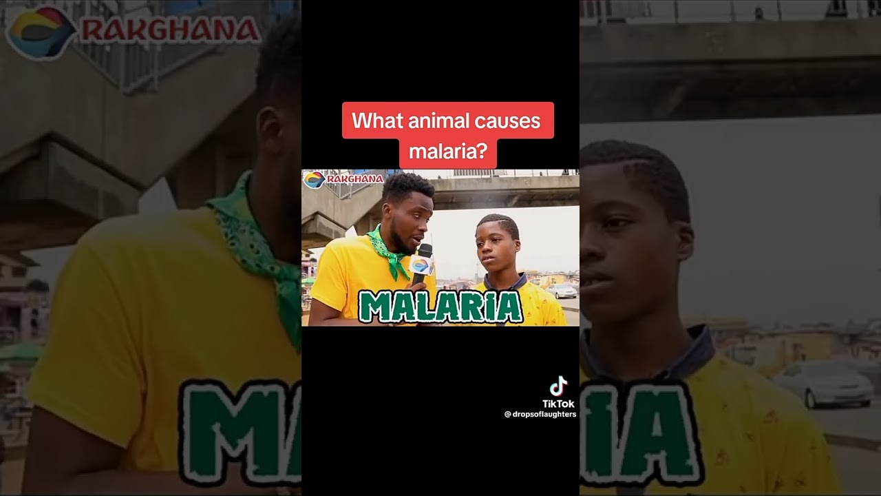 what animals causes malaria?