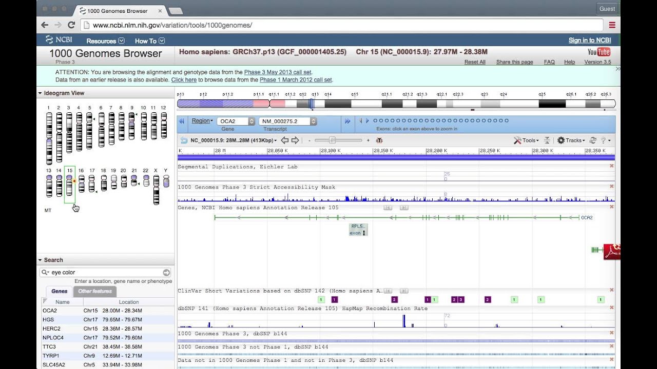 How to Use the 1000 Genomes Browser