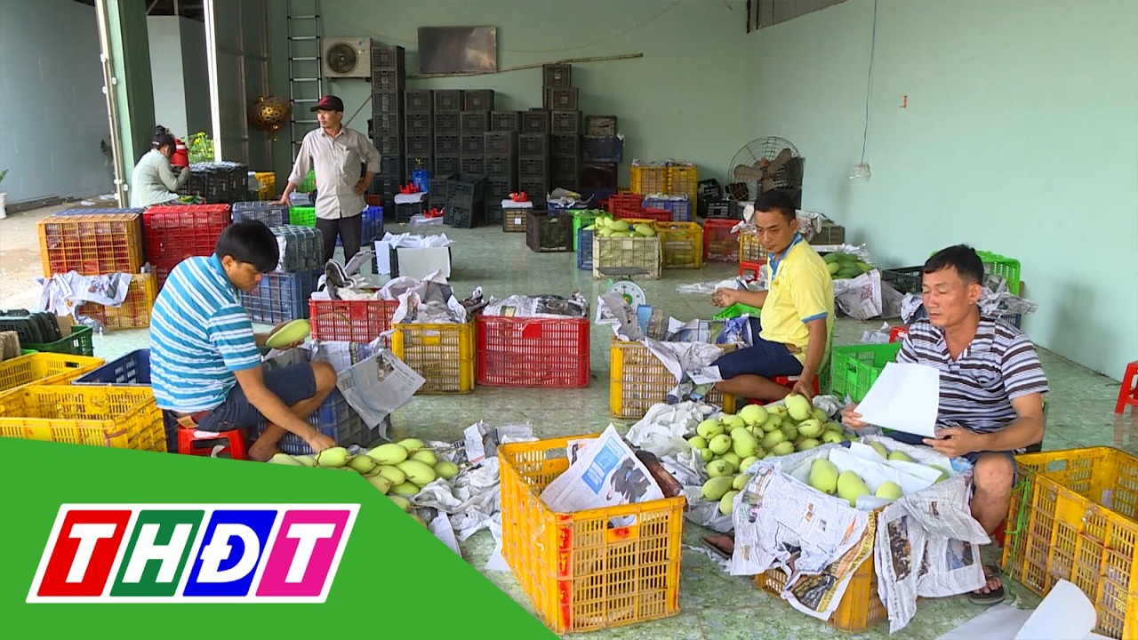 Xuất khẩu rau quả sang EU tăng gấp ba sau 4 năm | THDT