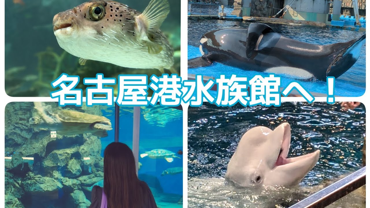 名古屋港水族館へ遊びに行ってきたよ！🐠🫧