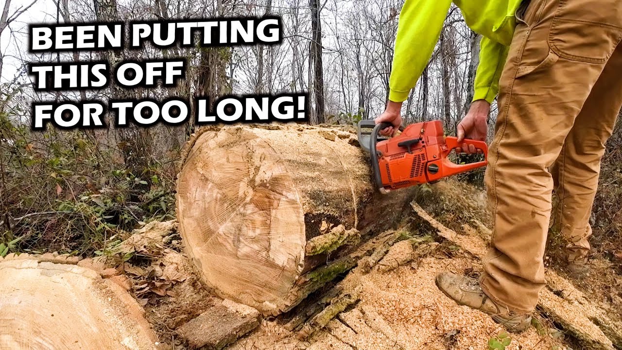 Cleaning up Deadfall with Husqvarna Chainsaw and John Deere 755