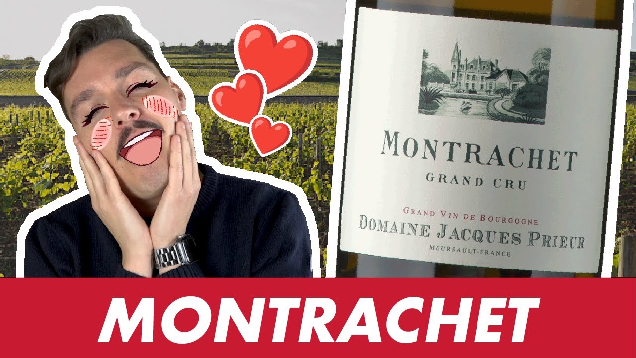 CVQM #5 : MONTRACHET le Grand Cru de BOURGOGNE Blanc le plus iconique ✨˶◕‿‿◕˶✨