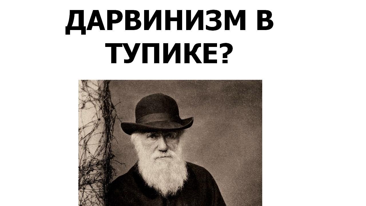 Дарвинизм в тупике?