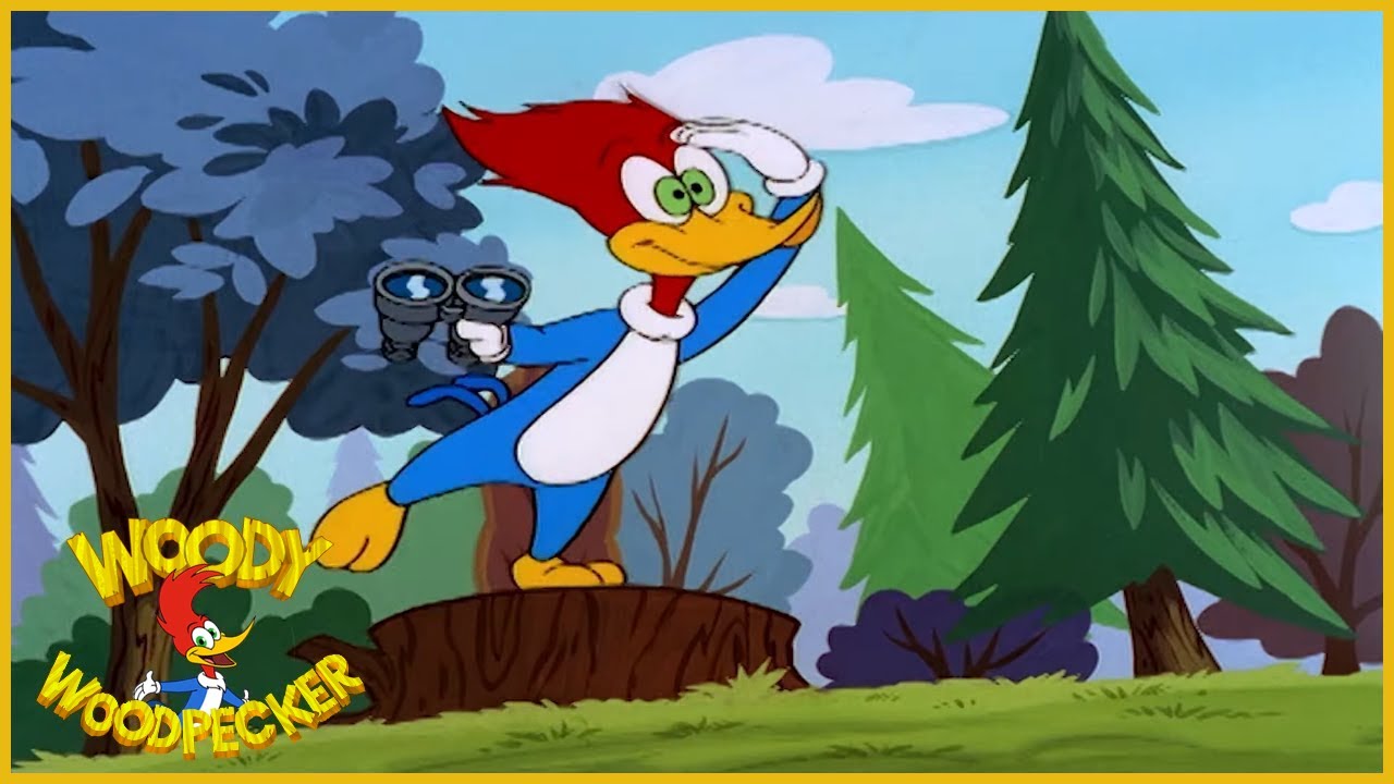 Woody Woodpecker | Woody Watcher | Full Episodes