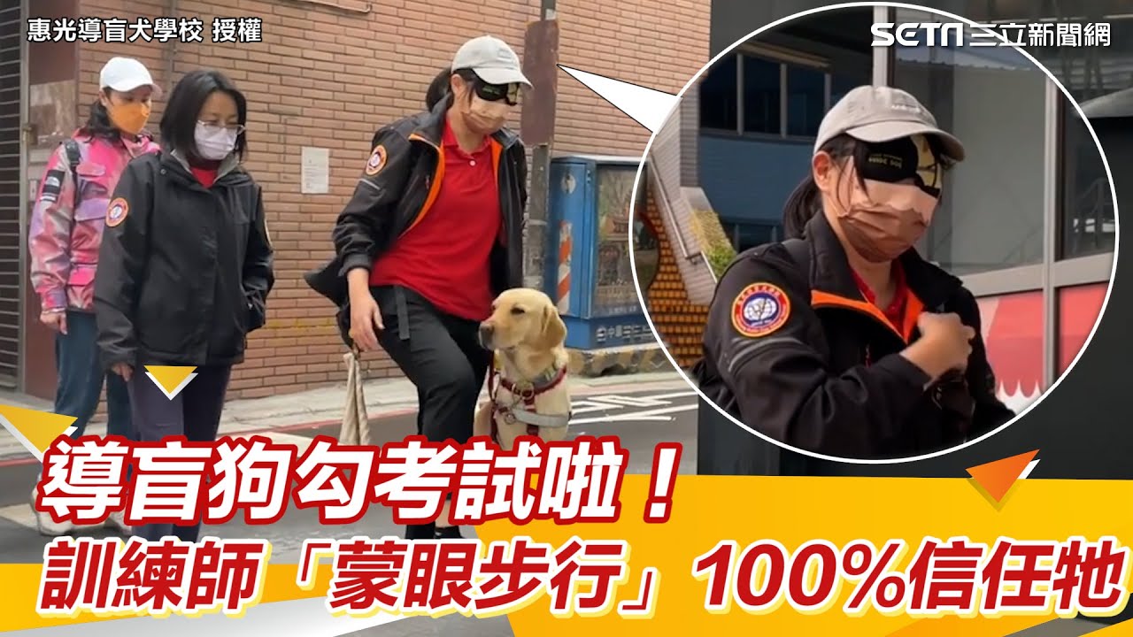 導盲狗勾考試啦！訓練師「蒙眼步行」100%信任牠｜三立新聞網 SETN.com