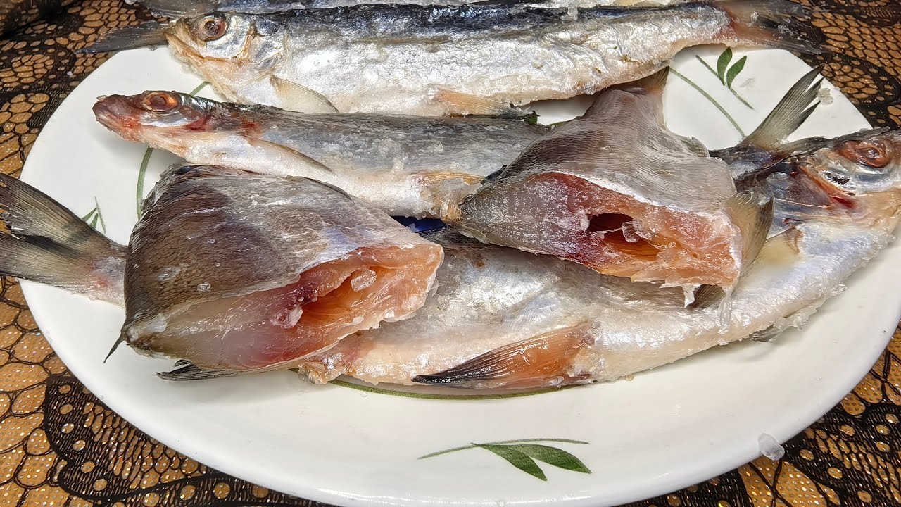 Пелядь / СЫРОК давленный / СУХОЙ ПОСОЛ / ВКУСНАЯ РЫБКА