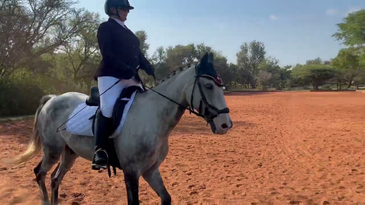 Jo-Ann Vallet -Riemlano- DSA1 Walk Trot 1 26 February 2026 