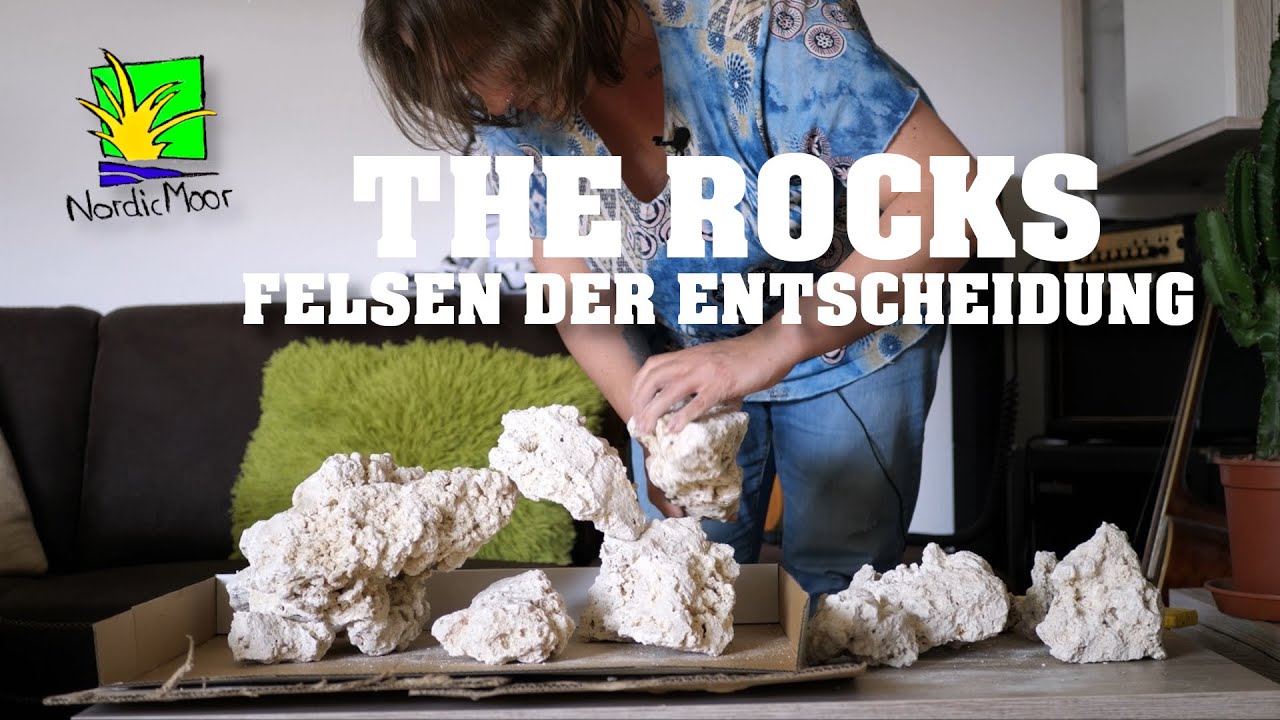 Meerwasser-Aquarium🌊🐠: The Rocks - Felsen der Entscheidung