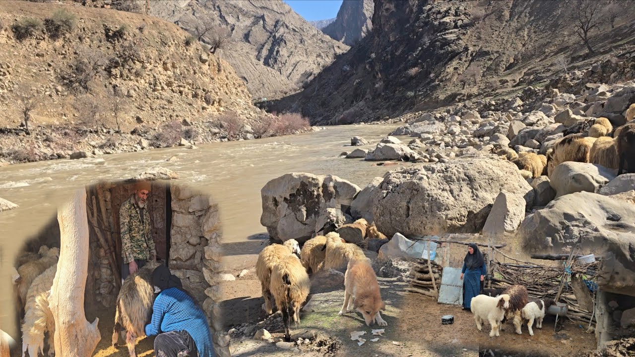 An old nomadic man on the hardships and beauties of taking his herd to the mountains for survival🏞️🐑