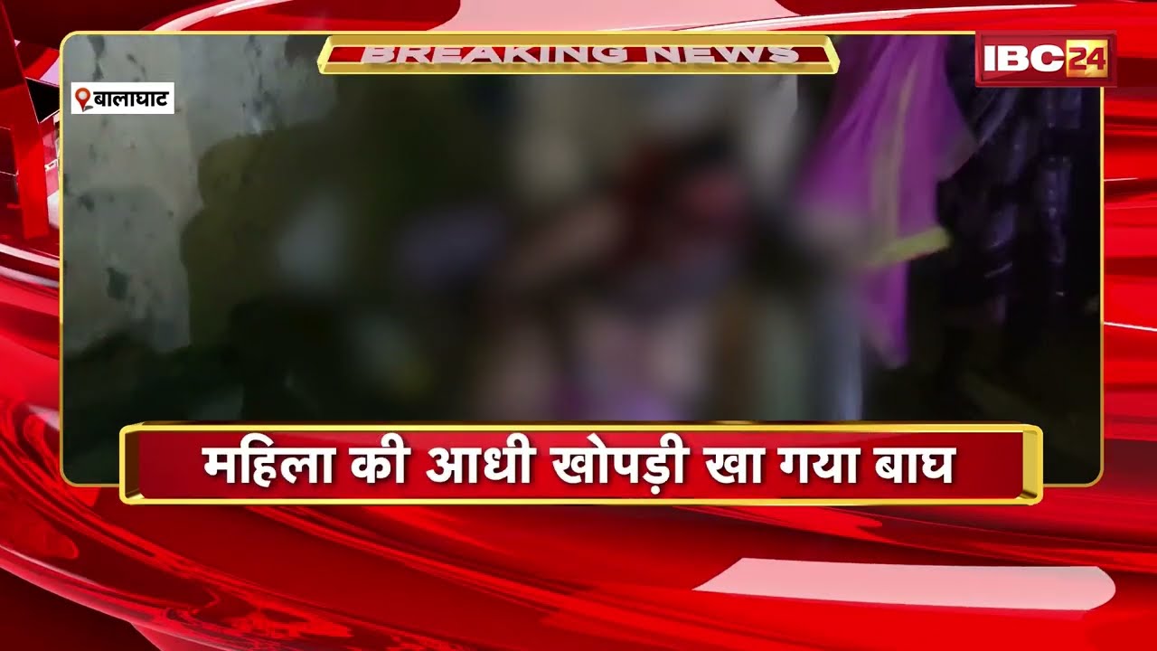 Balaghat Tiger Attack: घर में घुसा बाघ, सोती महिला पर किया खौफनाक हमला | आधी खोपड़ी खा गया बाघ