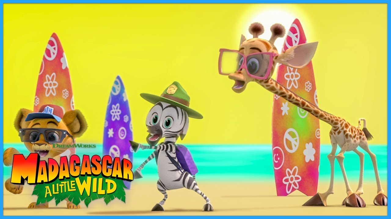Surf Fest 🌊 | Madagascar: A Little Wild | DreamWorks Madagascar