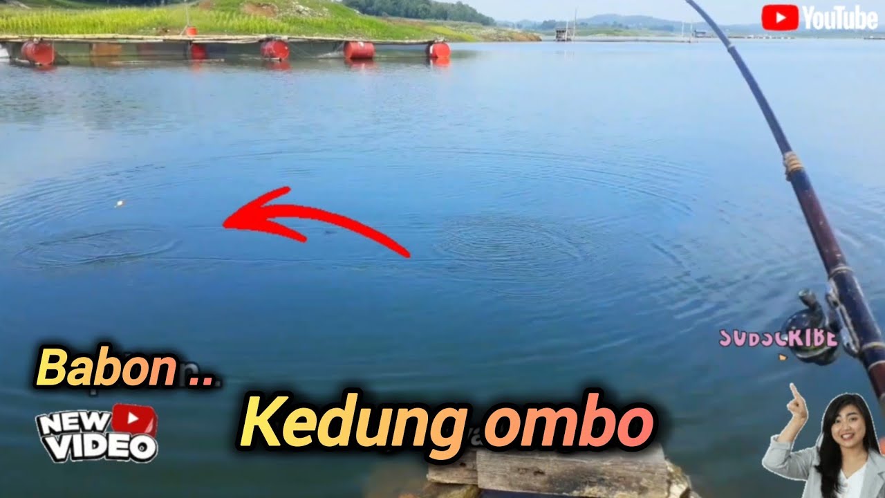 Mancing babon lagi lur #mancingkedungombo