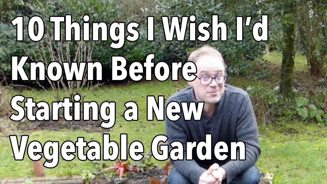 10 Things I Wish I&rsquo;d Known Before Starting a New Vegetable Garden
