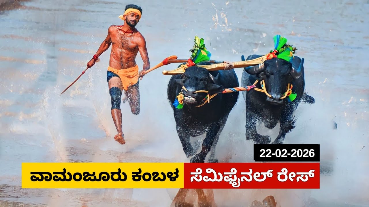 Vamanjoor Tiruvailu Kambala  Semi Final Race  2026 | ವಾಮಂಜೂರು ತಿರುವೈಲ್ ಕಂಬಳ ಸೆಮಿಫೈನಲ್ ರೇಸ್