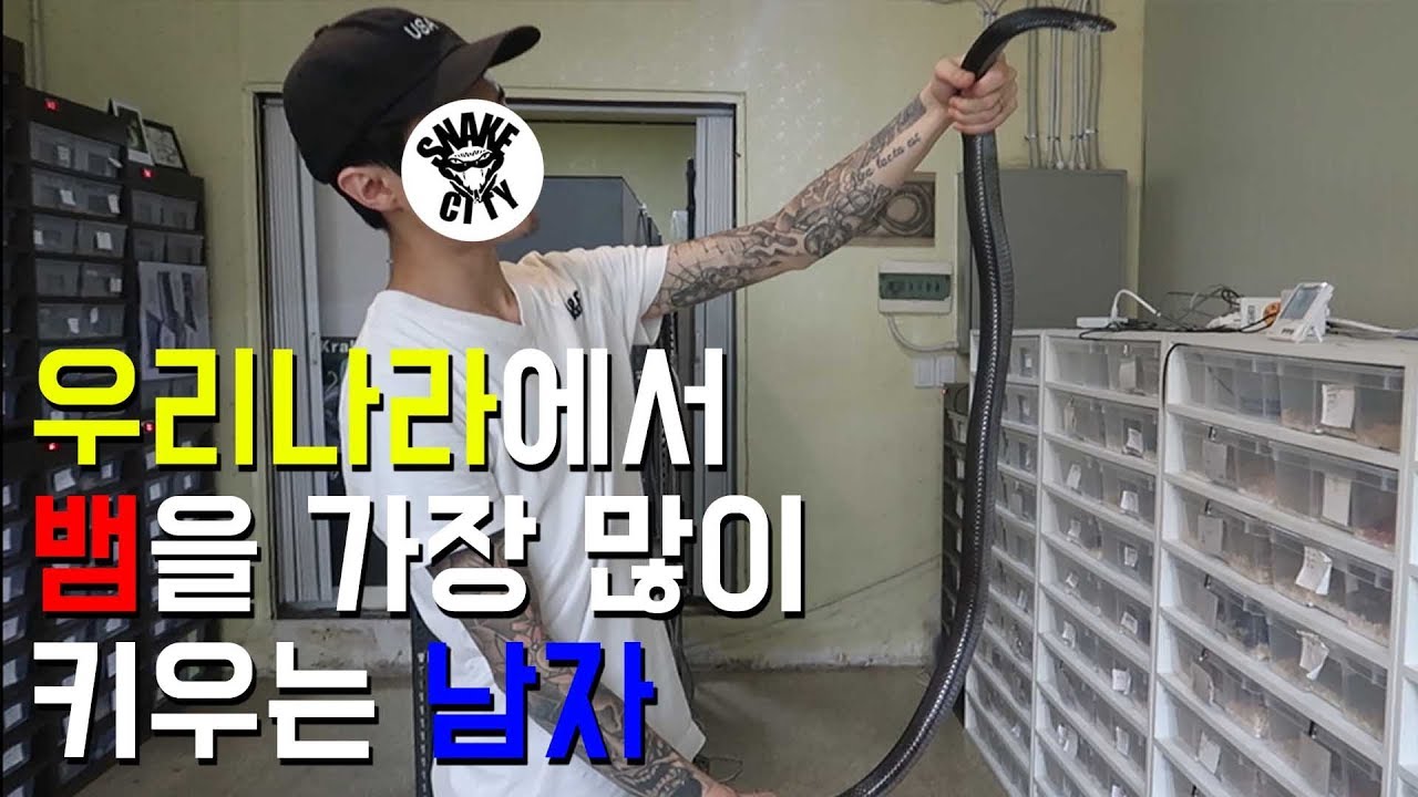 충격! 국내최고 