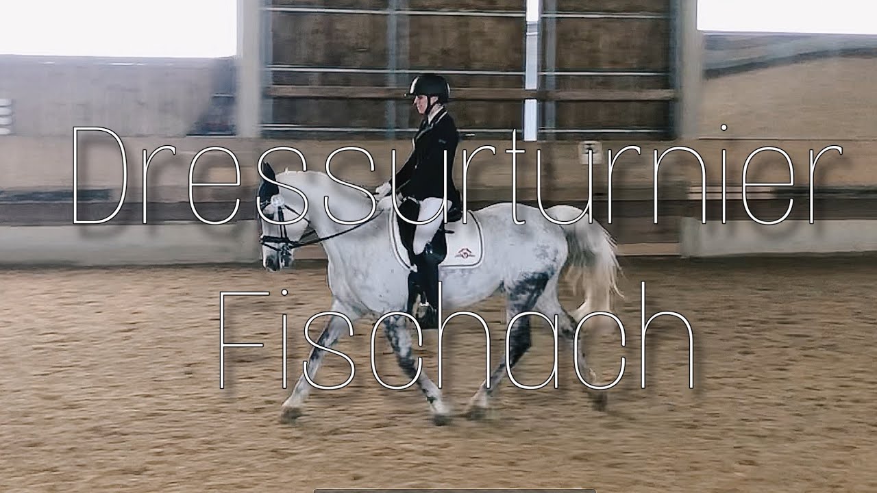 Dressurreiter A & A* Dressur