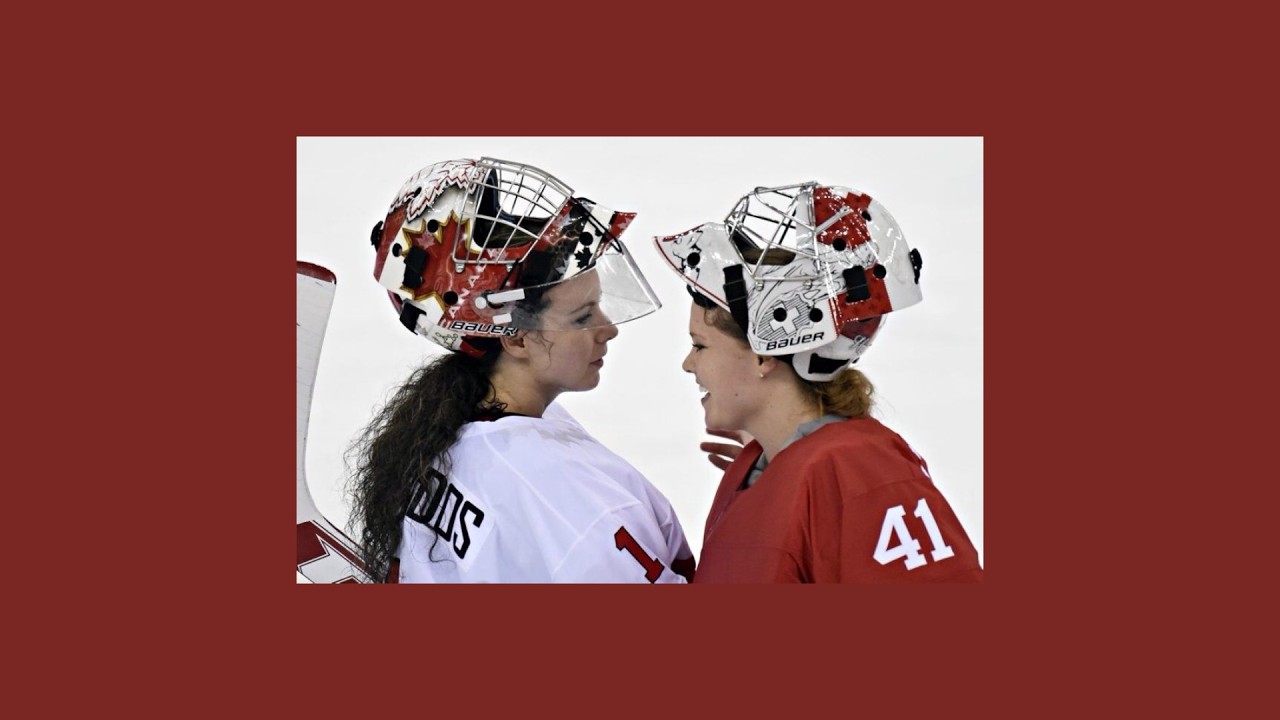 fem!heated rivalry playlist