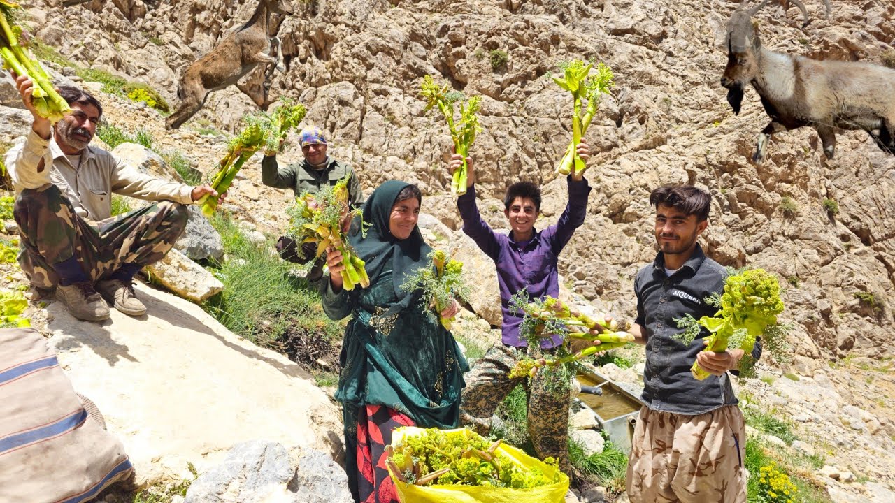 High Into the Rocky Peaks! 🏔️ Harvesting Rare Medicinal Plants & Meeting Mountain Wildlife! 🐐