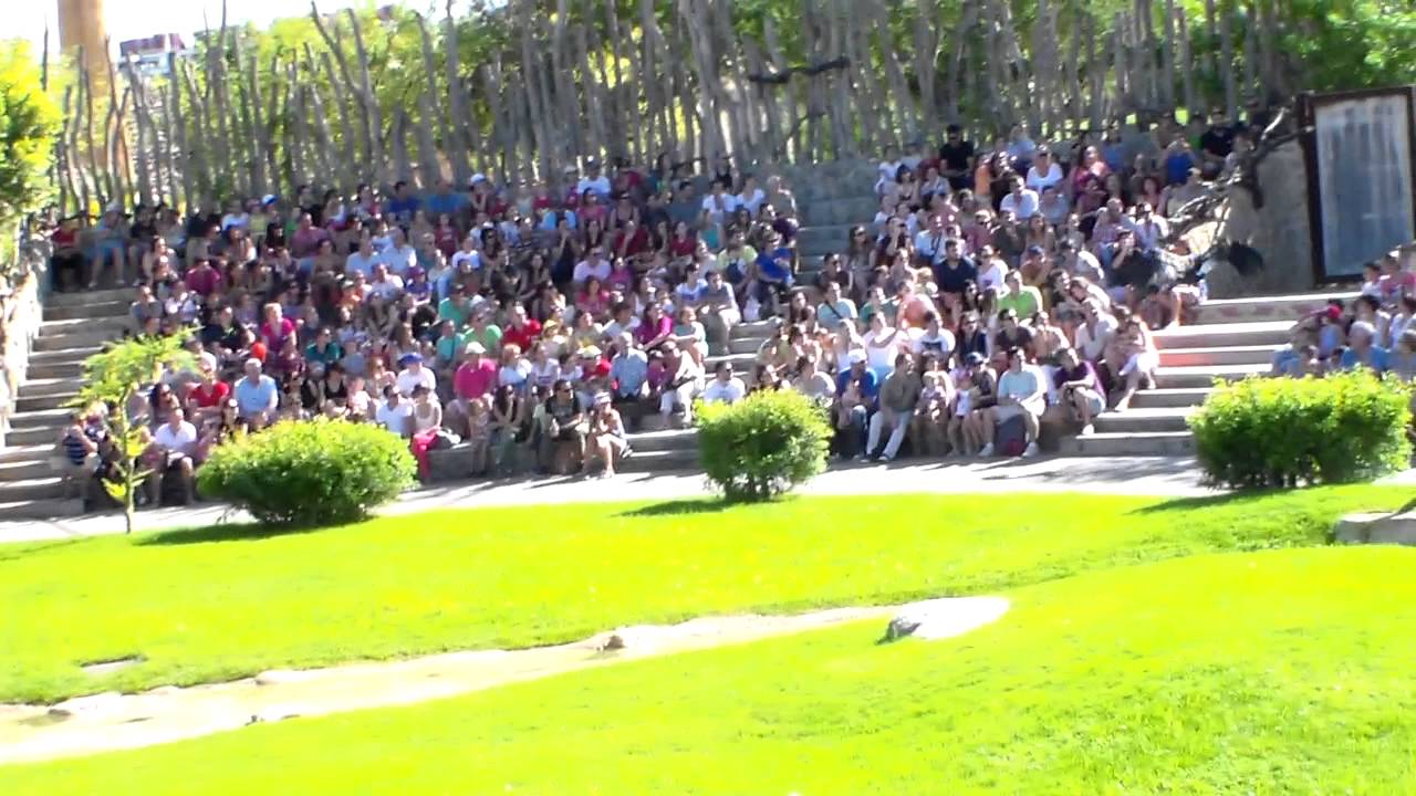 BIOPARC VALENCIA -EXHIBICIÓN AVES Y MAMÍFEROS (1)