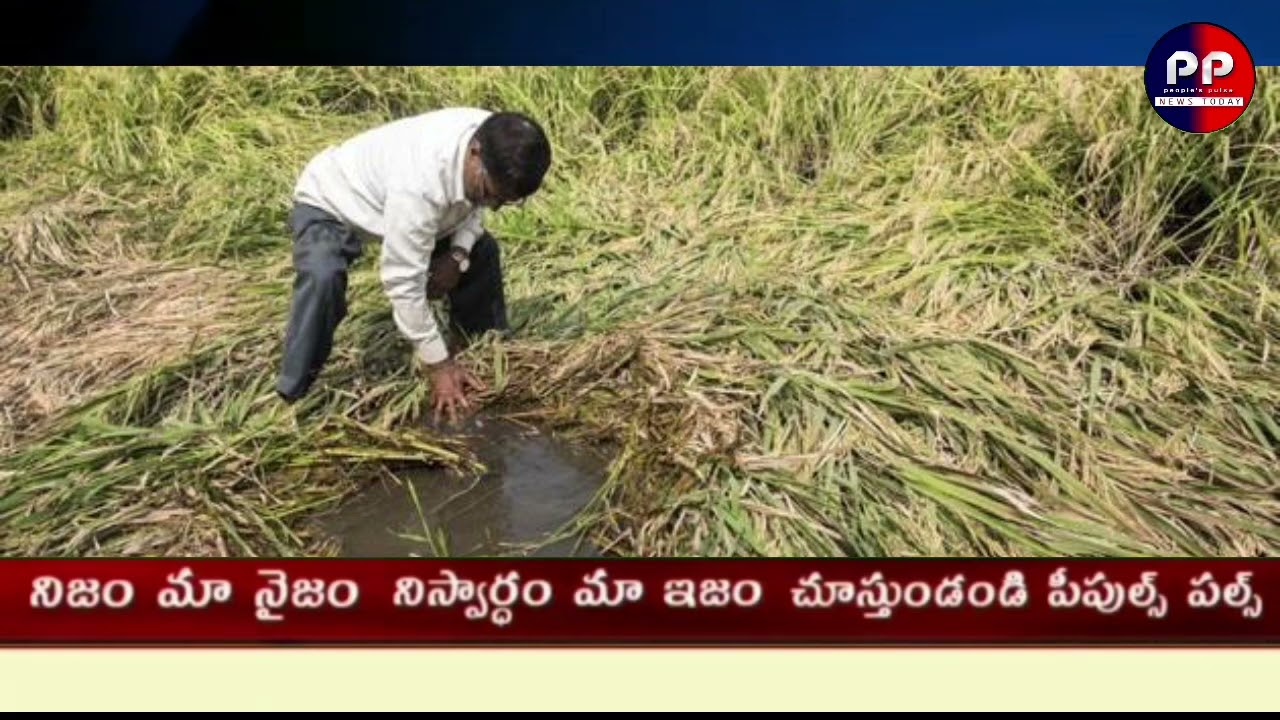 #  రైతుల మృత్యుఘోష.. 3 నెలల్లో 767 మంది ఆత్మహత్య.ప్రతి మూడు గంటలకొకరు మృతి.