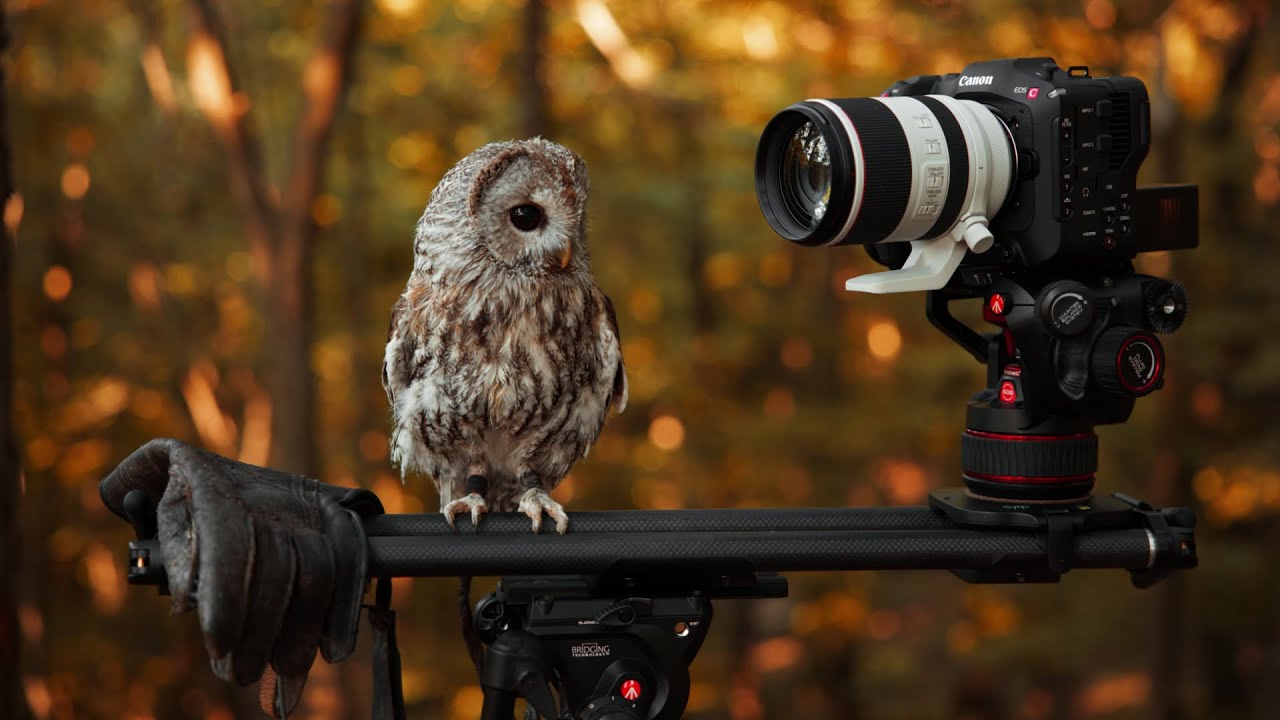 Prečo má MANFROTTO kvalitné statívy?