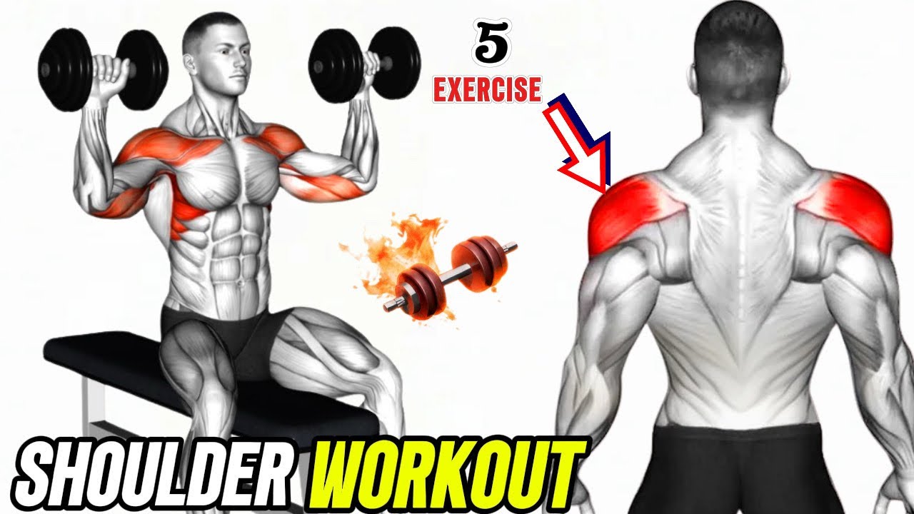 9 Best Shoulder Exercises At The Gym - Shoulder Workout